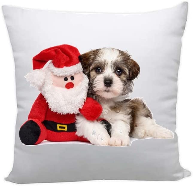 Gilbin Christmas Throw Pillow Cover with Pillow, Holiday Decorative Pillow Includes Cover & Insert, Zippered Pillowcase, Cute Sofa Couch Xmas Decorations, Holiday Bedroom Decor, (16x16)